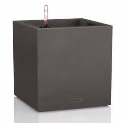 LECHUZA CANTO, Box planter, Freestanding, Plastic, Black, Graphite, Square, Indoor/outdoor