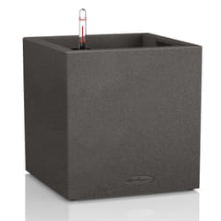 LECHUZA CANTO Indoor/outdoor Box planter Freestanding Plastic Black, Graphite