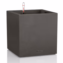 LECHUZA Canto Stone 40 low, Box planter, Freestanding, Polypropylene (PP), Black, Graphite, Cube, Indoor/outdoor