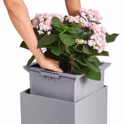 LECHUZA Canto Stone 40 low Indoor/outdoor Box planter Freestanding Polypropylene (PP) Black, Graphite