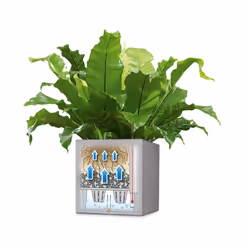 LECHUZA Canto Stone 40 low Indoor/outdoor Box planter Freestanding Polypropylene (PP) Black, Graphite - Additional view 8