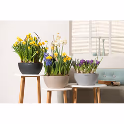 LECHUZA CUBETO Indoor/outdoor Pot planter Freestanding Polypropylene (PP) Grey