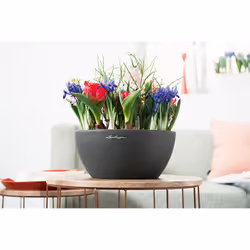 LECHUZA CUBETO Indoor/outdoor Pot planter Freestanding Polypropylene (PP) Black - Additional view 4