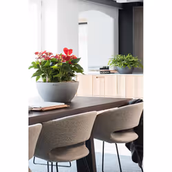 LECHUZA CUBETO Indoor/outdoor Pot planter Freestanding Polypropylene (PP) Black - Additional view 5