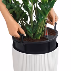 LECHUZA CILINDRO Color Poly Resin Floor Self-watering Planter with Substrate - Sand Brown, D23 H41 cm