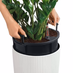 LECHUZA CILINDRO Color 32 White Poly Resin Floor Self-watering Planter with Substrate D32 H56 cm