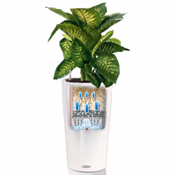 LECHUZA CILINDRO Color 32 White Poly Resin Floor Self-watering Planter with Substrate D32 H56 cm - Additional view 4