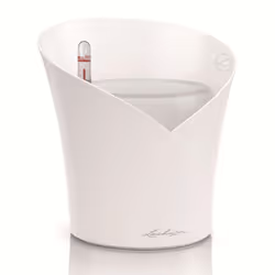 LECHUZA ORCHIDEA White Matt Poly Resin Table Self-watering Planter with Substrate D18 H19,5 cm