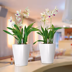 LECHUZA DELTINI Table White High Gloss Poly Resin Table Self-watering Planter with Substrate D14 H18 cm
