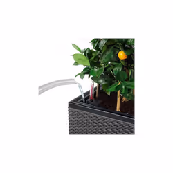 LECHUZA TRIO Cottage 30 Indoor/outdoor Pot planter Freestanding White - Additional view 4
