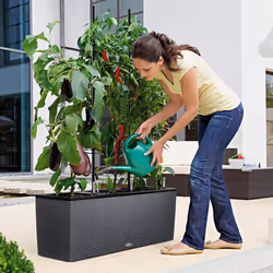LECHUZA TRIO Cottage Trough Poly Resin Self-watering Planter - Granite, H34 L100 W32 - Additional view 5