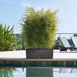 LECHUZA TRIO Cottage Trough Poly Resin Self-watering Planter - Granite, H34 L100 W32 - Additional view 7