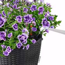LECHUZA Hanging Planter Sand Home Standing Indoor Planter Hanging Plant Pot - granite, 27 x 23 cm - Additional view 4