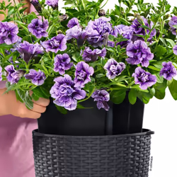 LECHUZA Hanging Planter Sand Home Standing Indoor Planter Hanging Plant Pot - granite, 27 x 23 cm - Additional view 5