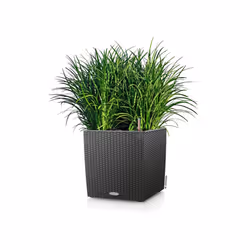 LECHUZA Planter Decorative Flower Pot Flower Planter Indoor Home Planter Pot - granite, 29.5 x 29.5 x 30 cm - Additional view 6