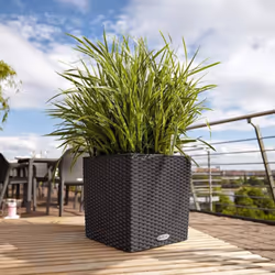 LECHUZA Planter Decorative Flower Pot Flower Planter Indoor Home Planter Pot - granite, 29.5 x 29.5 x 30 cm - Additional view 8