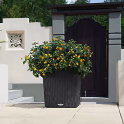 LECHUZA Planter Decorative Flower Pot Flower Planter Indoor Home Planter Pot - granite, 39 x 39 x 40 cm - Additional view 6