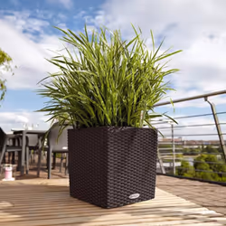LECHUZA Planter Decorative Flower Pot Flower Planter Indoor Home Planter Pot - mocha, 39 x 39 x 40 cm - Additional view 6