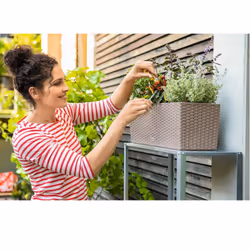 LECHUZA BALCONERA Cottage Poly Resin Window Box Self-watering Planter with Substrate - Light Grey, H19 L50 W19 cm