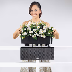LECHUZA Planter Decorative Flower Pot Flower Planter Indoor Home Planter Pot - White, H19 L50 W19