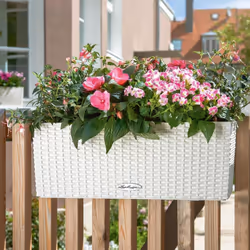 LECHUZA Planter Decorative Flower Pot Flower Planter Indoor Home Planter Pot - White, H19 L50 W19 - Additional view 4