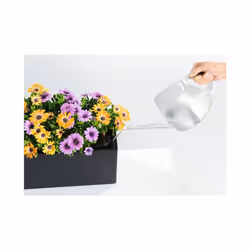LECHUZA Planter Decorative Flower Pot Flower Planter Indoor Home Planter Pot - Granite, H19 L50 W19 - Additional view 4
