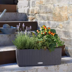 LECHUZA Planter Decorative Flower Pot Flower Planter Indoor Home Planter Pot - Granite, H19 L50 W19 - Additional view 5