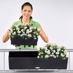 LECHUZA Planter Decorative Flower Pot Flower Planter Indoor Home Planter Pot - White, H19 L80 W19