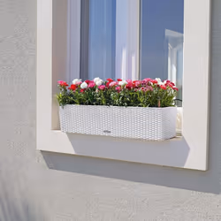 LECHUZA Planter Decorative Flower Pot Flower Planter Indoor Home Planter Pot - White, H19 L80 W19 - Additional view 4