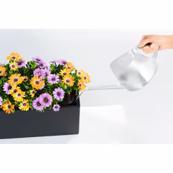 LECHUZA BALCONERA 50 Indoor/outdoor Pot planter Hanging Polypropylene (PP) Brown