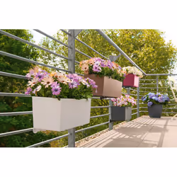 LECHUZA BALCONERA 50 Indoor/outdoor Pot planter Hanging Polypropylene (PP) Brown - Additional view 8