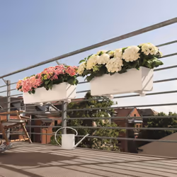 LECHUZA BALCONERA Color 80 White Poly Resin Window Box Self-watering Planter with Substrate H19 L80 W19 cm