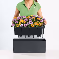 LECHUZA BALCONERA Color 80 Slate Poly Resin Window Box Self-watering Planter with Substrate H19 L80 W19 cm - Additional view 4