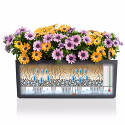 LECHUZA BALCONERA Color 80 Slate Poly Resin Window Box Self-watering Planter with Substrate H19 L80 W19 cm - Additional view 5
