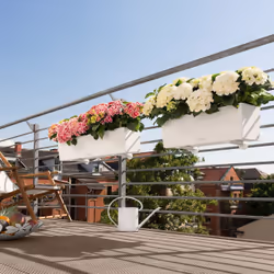 LECHUZA Balconera Color 80 Indoor/outdoor Box planter Hanging Polypropylene (PP) Brown - Additional view 5
