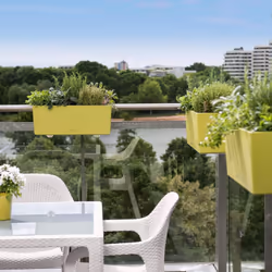 LECHUZA BALCONERA Color Poly Resin Window Box Self-watering Planter with Substrate - Pastel Green, H19 L50 W19 cm