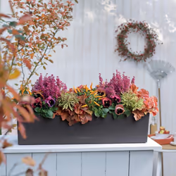 LECHUZA BALCONERA Color Poly Resin Window Box Self-watering Planter with Substrate - Sand Brown, H19 L80 W19 cm
