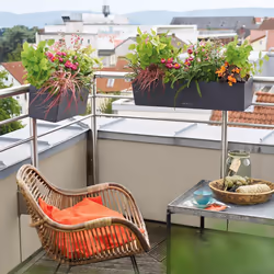 LECHUZA BALCONERA Color Poly Resin Window Box Self-watering Planter with Substrate - Sand Brown, H19 L80 W19 cm - Additional view 4