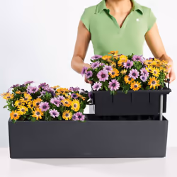 LECHUZA BALCONERA Color Poly Resin Window Box Self-watering Planter with Substrate - Sand Brown, H19 L80 W19 cm - Additional view 8