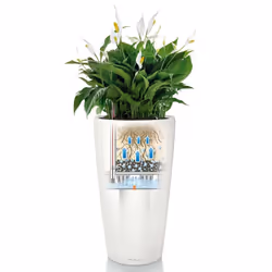 LECHUZA RONDO 32 White High-gloss Poly Resin Floor Self-watering Planter with Substrate D32 H56 cm