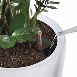 LECHUZA RONDO 32 White High-gloss Poly Resin Floor Self-watering Planter with Substrate D32 H56 cm