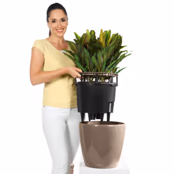 LECHUZA Planter Classico ALL-IN-ONE Indoor Outdoor Flower Pot Raised Bed 16085 - Charcoal Metallic, D21 H20 cm - Additional view 6