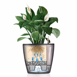 LECHUZA Planter Classico ALL-IN-ONE Indoor Outdoor Flower Pot Raised Bed 16085 - Charcoal Metallic, D21 H20 cm - Additional view 8