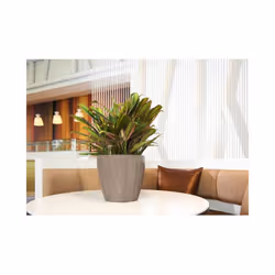 LECHUZA CLASSICO 21 LS Shiny Taupe Poly Resin Table Self-watering Planter with Substrate D21 H20 cm