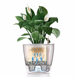 LECHUZA Planter Flower Pot CLASSICO LS 35 ALL-IN-ONE High-Gloss White 16060 - Additional view 6