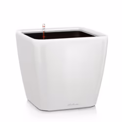 LECHUZA Table Planter Standing Flower Pot High Gloss White/Metallic Charcoal - White High Gloss, H20 L21 W21 cm