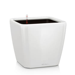 LECHUZA Table Planter Standing Flower Pot High Gloss White/Metallic Charcoal - White High Gloss, H20 L21 W21 cm