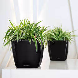 LECHUZA Table Planter Standing Flower Pot High Gloss White/Metallic Charcoal - White High Gloss, H20 L21 W21 cm - Additional view 5