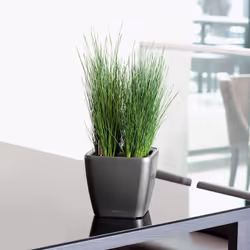 LECHUZA Table Planter Standing Flower Pot High Gloss White/Metallic Charcoal - White High Gloss, H20 L21 W21 cm - Additional view 6