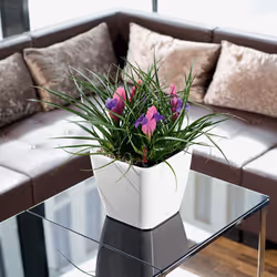 LECHUZA Table Planter Standing Flower Pot High Gloss White/Metallic Charcoal - White High Gloss, H20 L21 W21 cm - Additional view 7